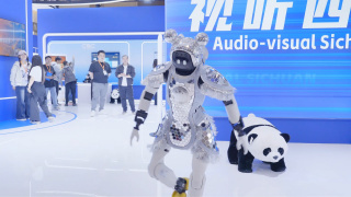 国产亚洲欧美日韩综合另类